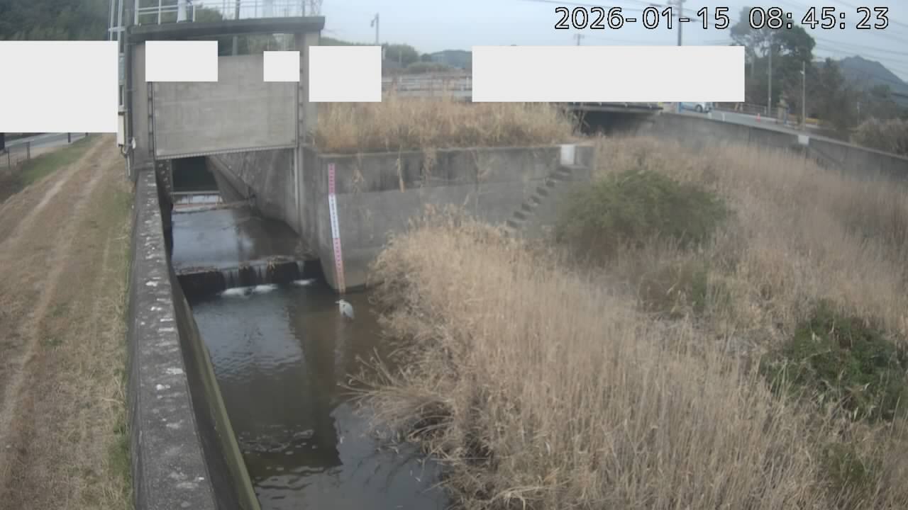 画像を取得できませんでした