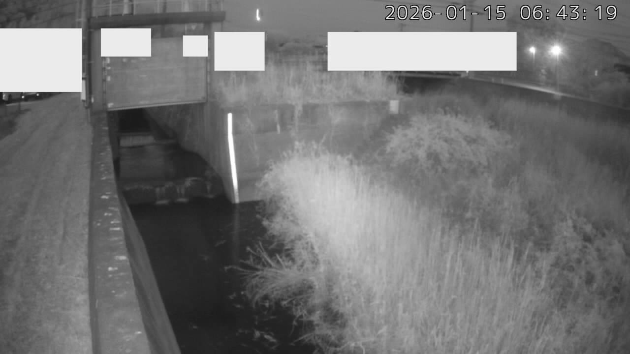 画像を取得できませんでした