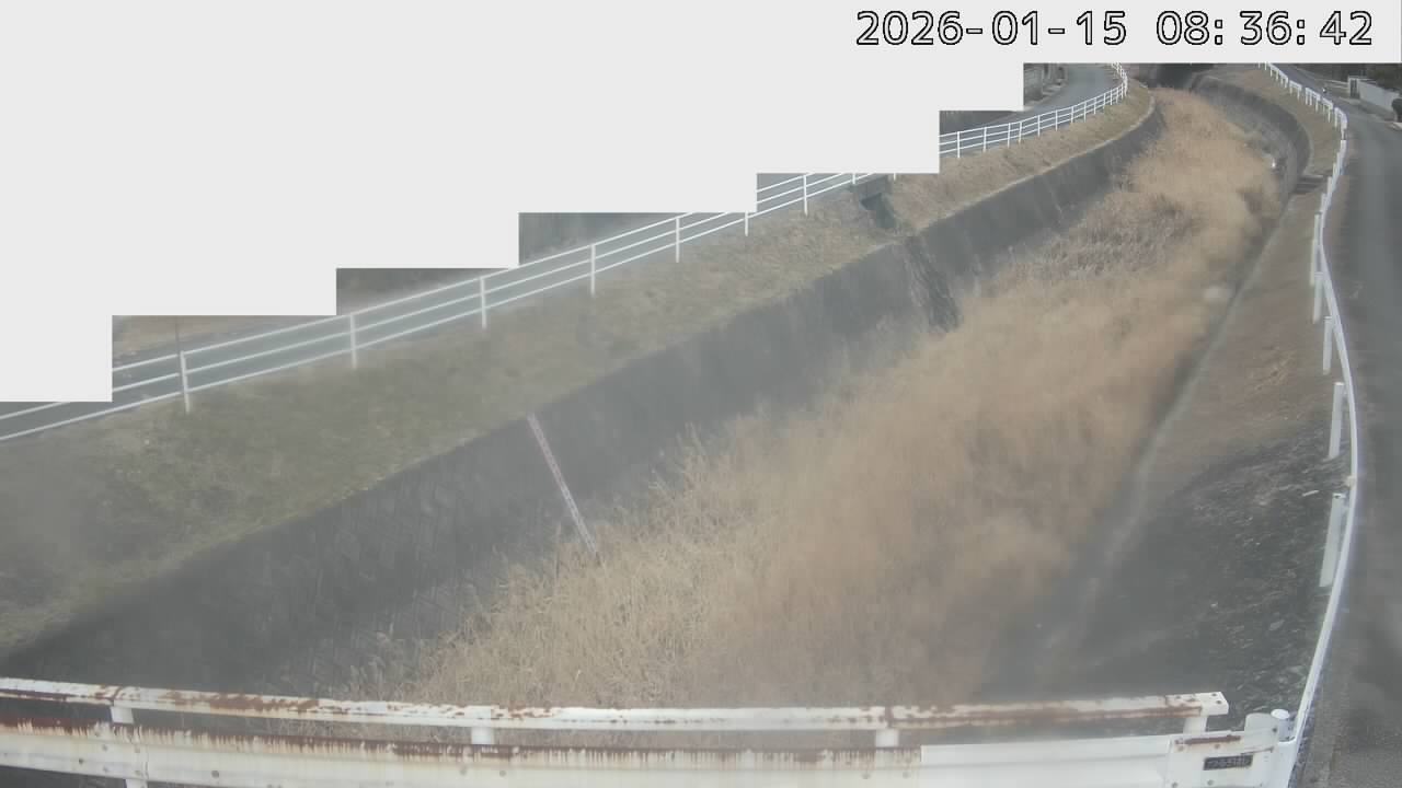 画像を取得できませんでした