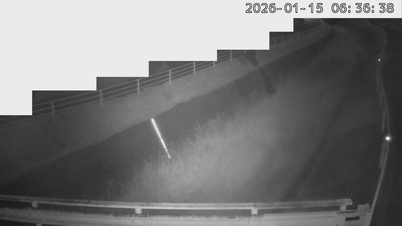 画像を取得できませんでした