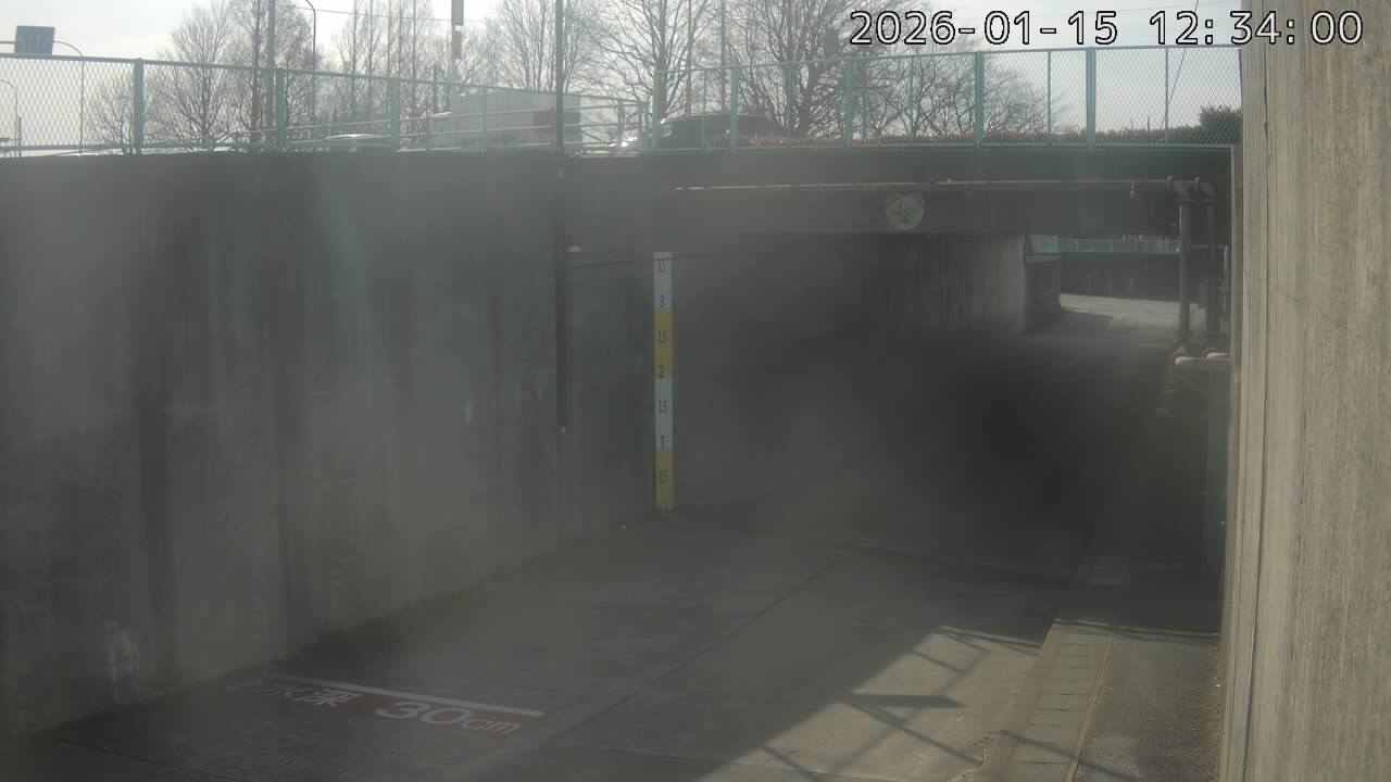 画像を取得できません