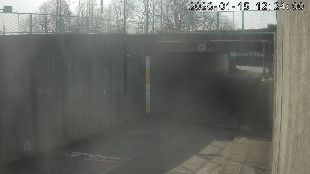 画像を取得できませんでした