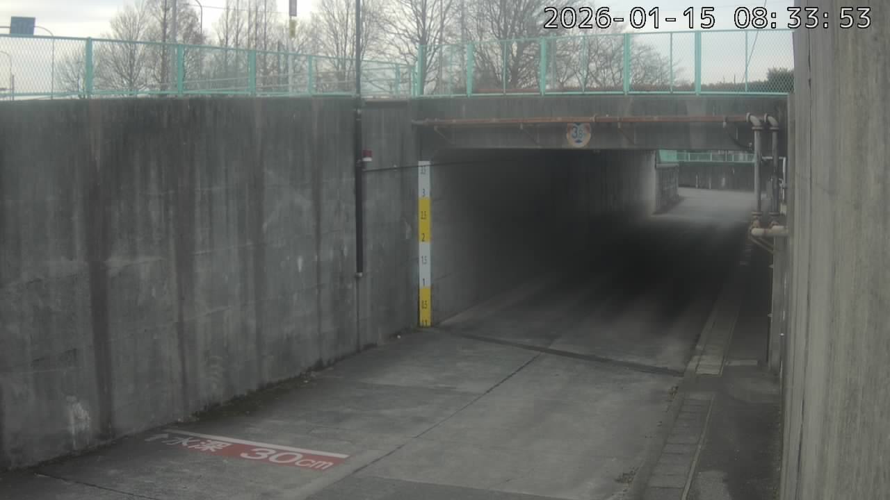 画像を取得できませんでした