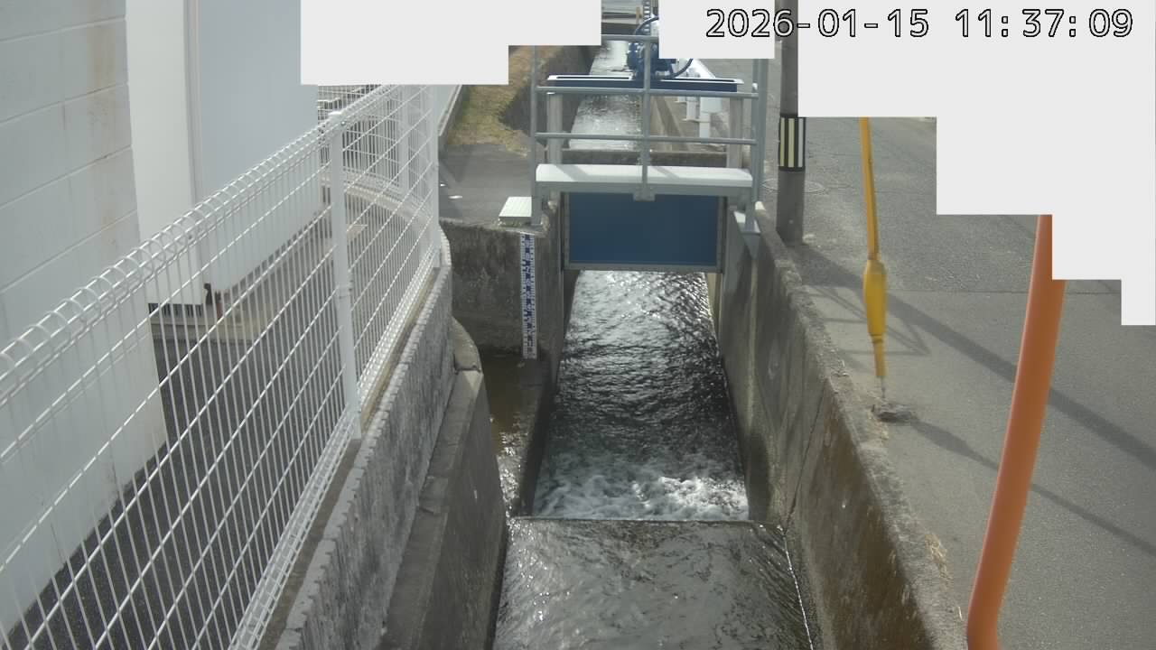 取得できませんでした