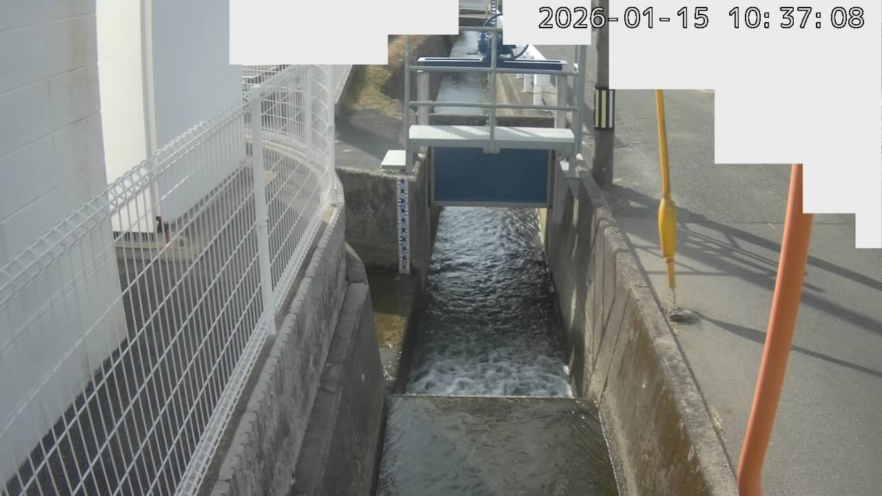 取得できませんでした