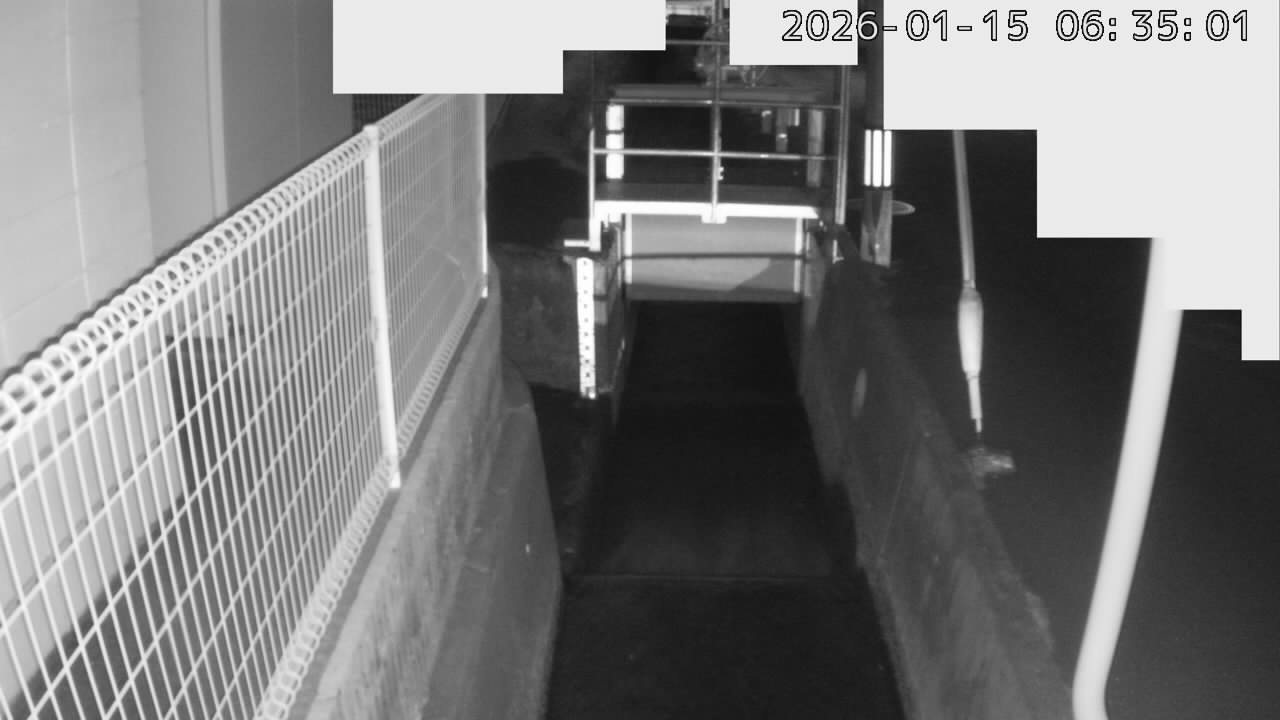 画像を取得できませんでした