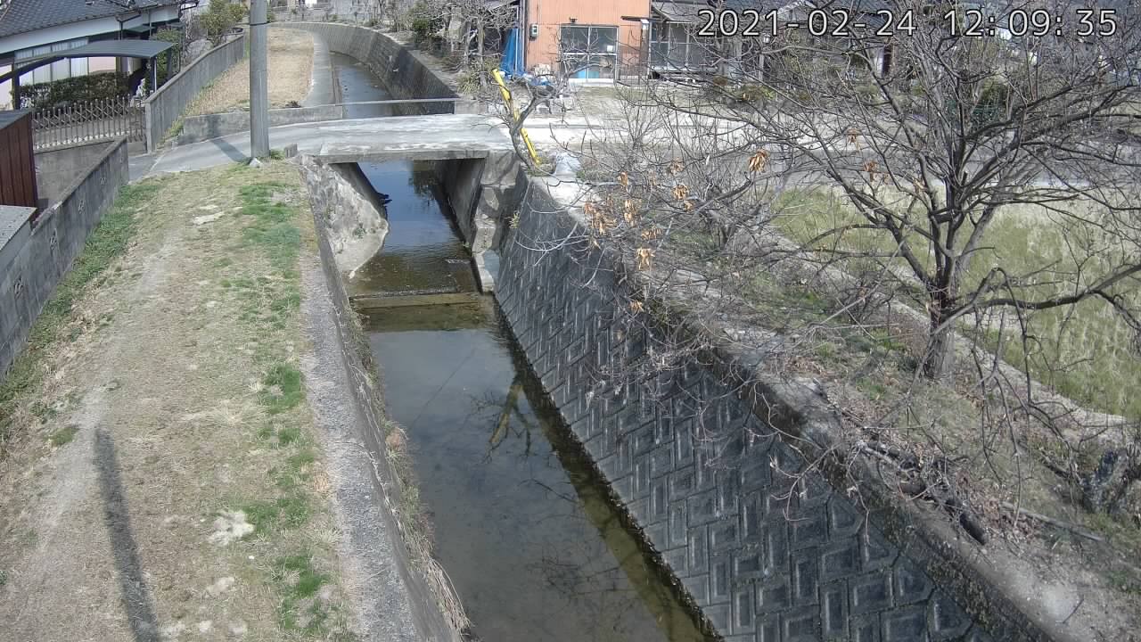 平常時画像を取得できません