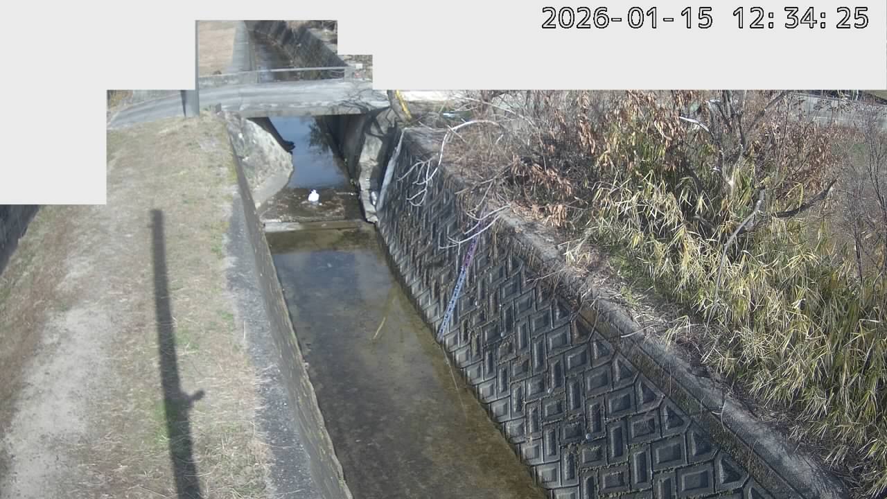 画像を取得できません