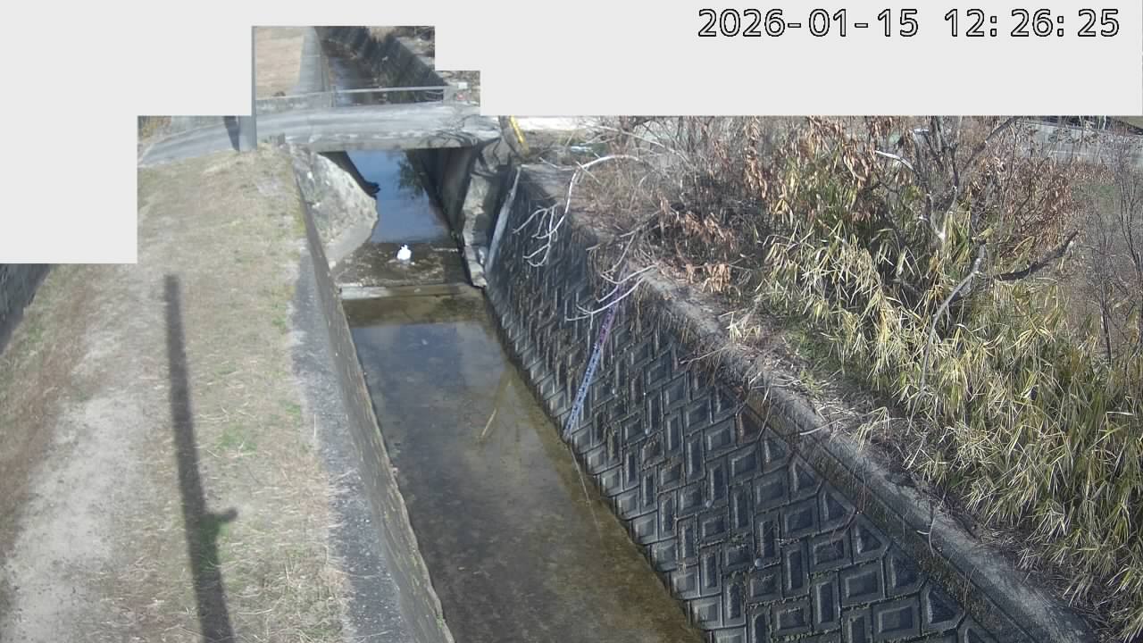 画像を取得できませんでした