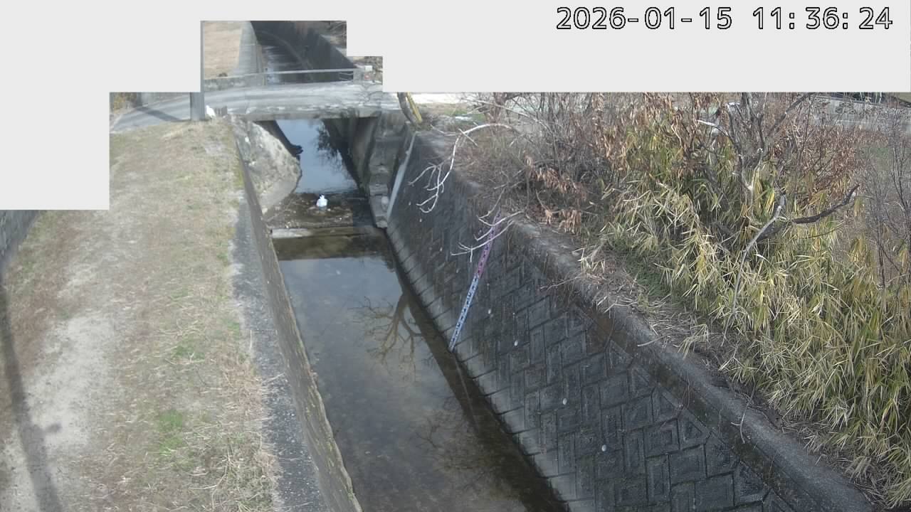 取得できませんでした