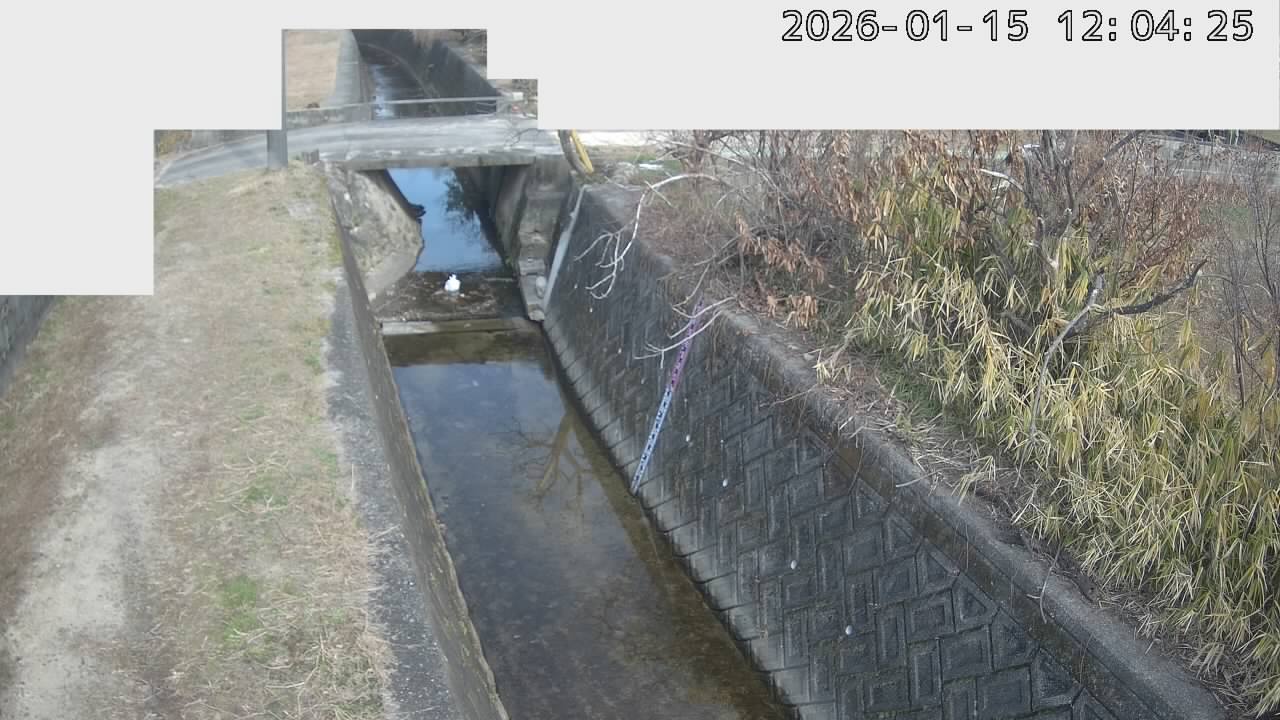 取得できませんでした