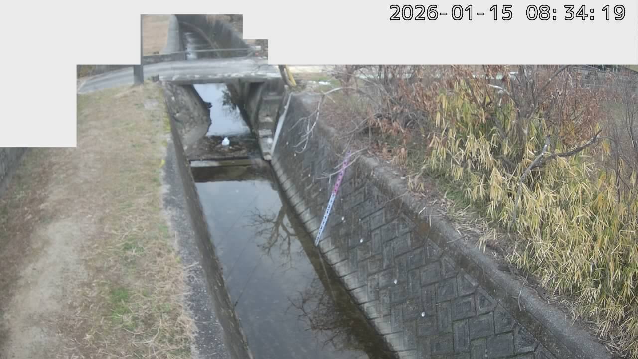 画像を取得できませんでした