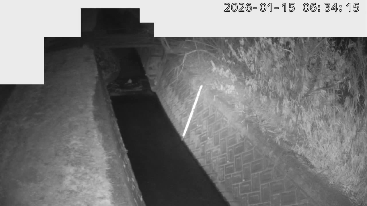 画像を取得できませんでした