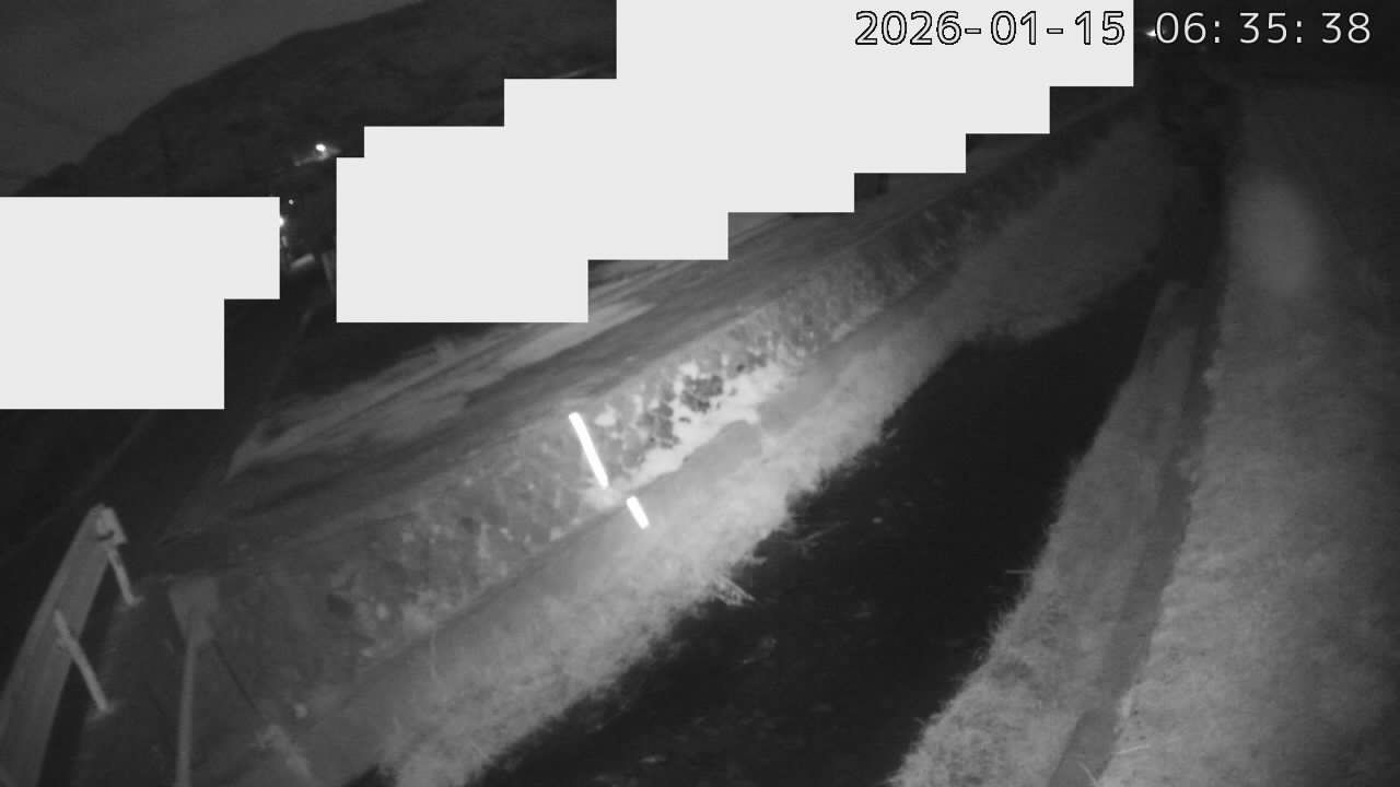 画像を取得できませんでした