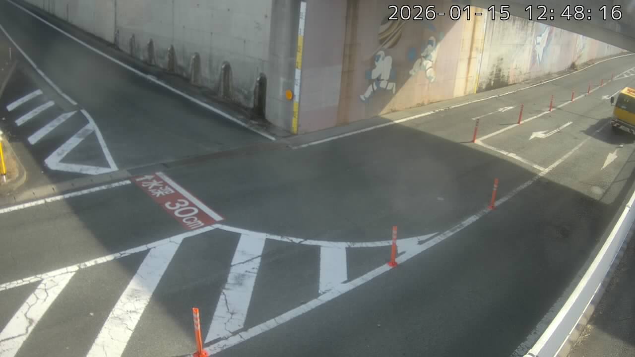 画像を取得できませんでした