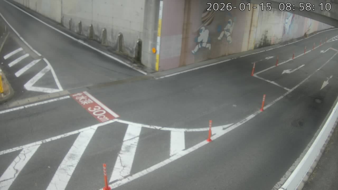 画像を取得できませんでした