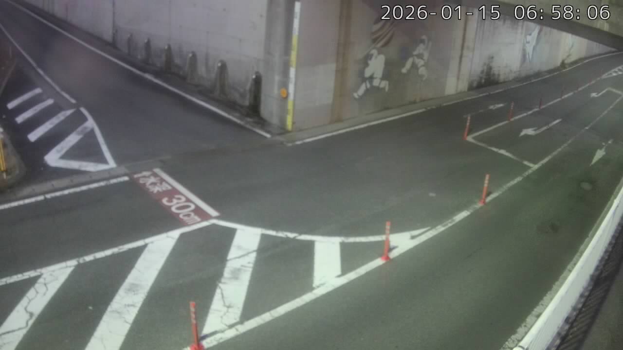 画像を取得できませんでした